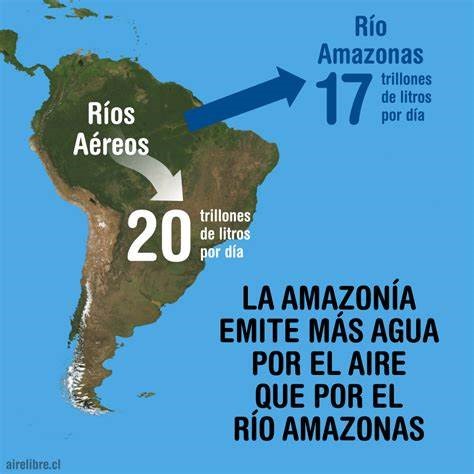 ____Amazonia 1